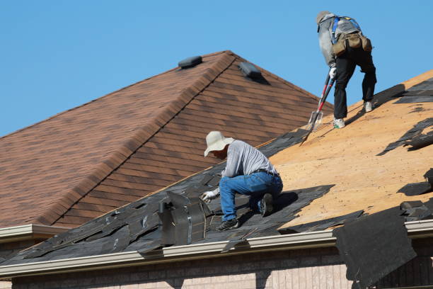 Best Asphalt Shingle Roofing  in Saugatuck, CT